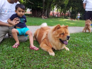 Bishan_DogArea (2)