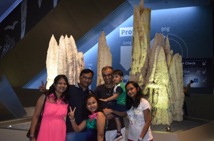 GardensByTheBay-Pauravbhai (2)